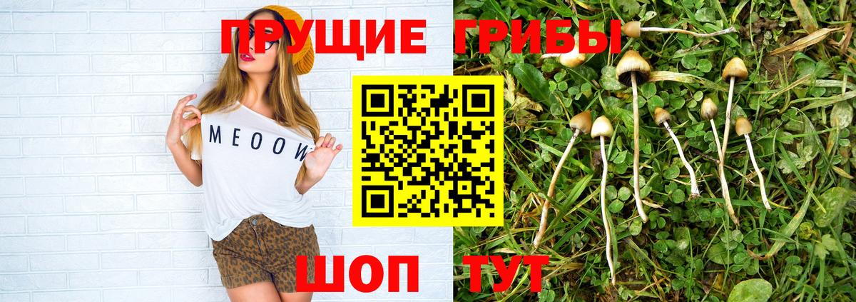 Псилоцибиновые грибы ЛСД Азов